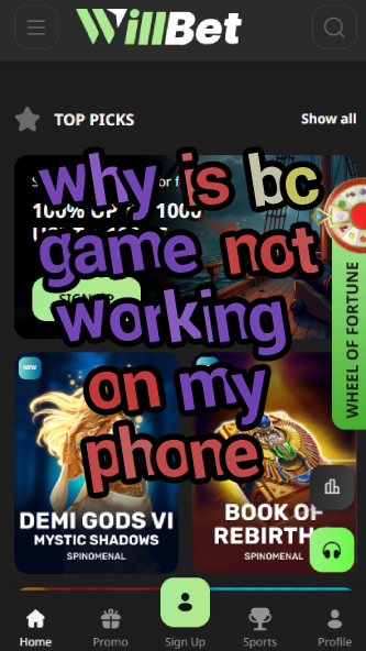 Why is BC Game Not Working on My Phone? Mobile Issues-vz72fvrf.com